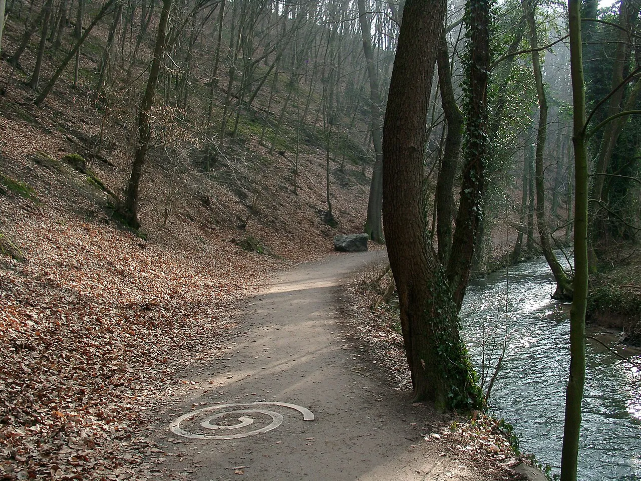 A wooded path through the Neander Valley in Germany